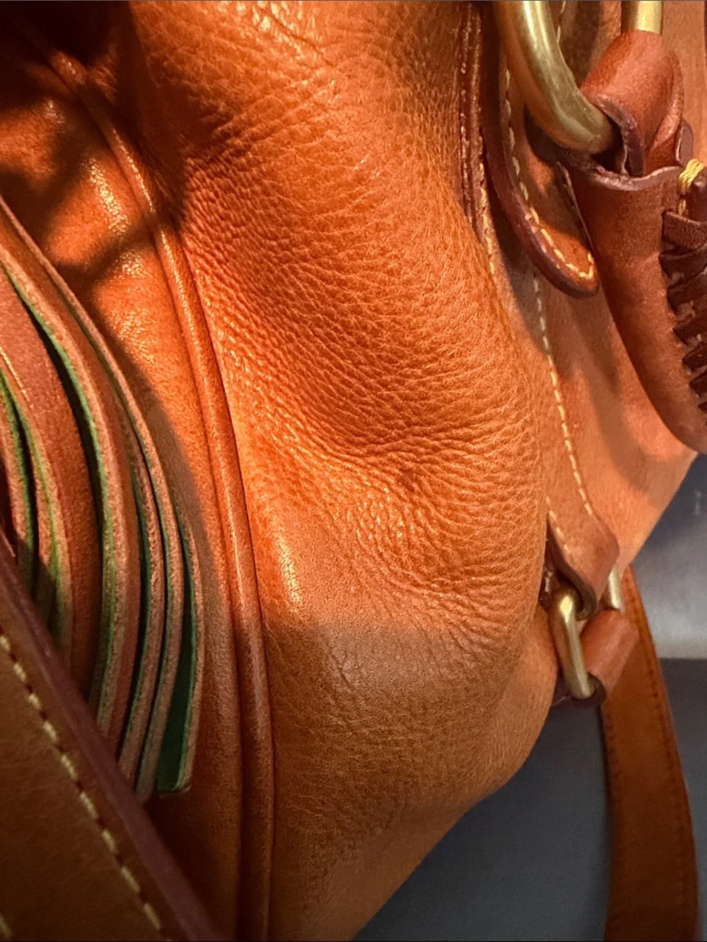 Dooney & Bourke Large Natural Florentine Satchel with crossbody strap